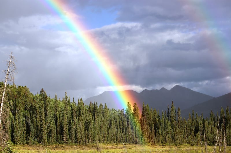 Rainbow Fields